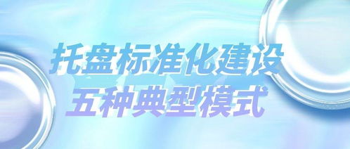 托盤標準化建設的五種典型模式及其租賃服務應用