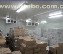濟南倉儲產品庫 靈動租賃，高效賦能 —— 探秘山東產品庫價格、實景與源頭廠家的專業之道